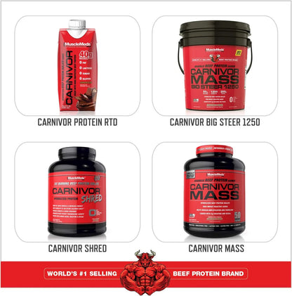 CARNIVOR Beef Protein Isolate, Muscle Building & Recovery, Lactose Free, Sugar Free, Fat Free, Chocolate, 2.25 Lbs, 28 Servings